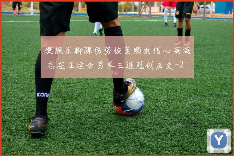 樊振东脚踝伤势恢复顺利信心满满 志在亚运会男单三连冠创历史